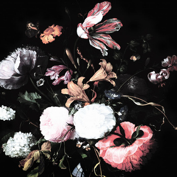 MURAL MIDNIGHT FLOWERS - WALLCOLORS